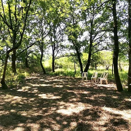 Maison Avec Grand Jardin & Bois Prive En Dordogne Holiday home