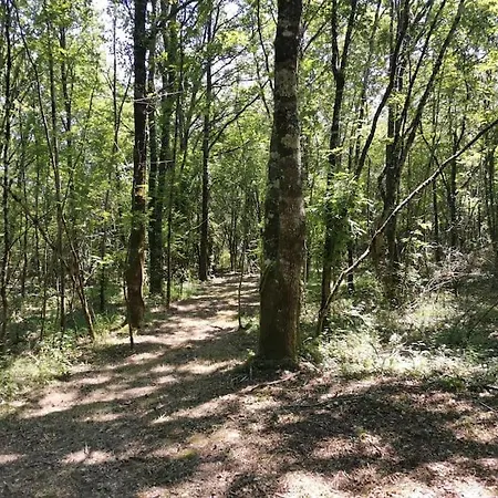 Maison Avec Grand Jardin & Bois Prive En Dordogne * Minzac