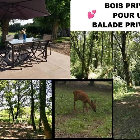 Maison Avec Grand Jardin & Bois Prive En Dordogne