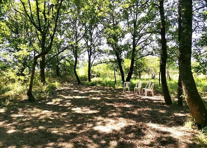 Maison Avec Grand Jardin & Bois Prive En Dordogne Feriehus